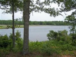 Main Photo